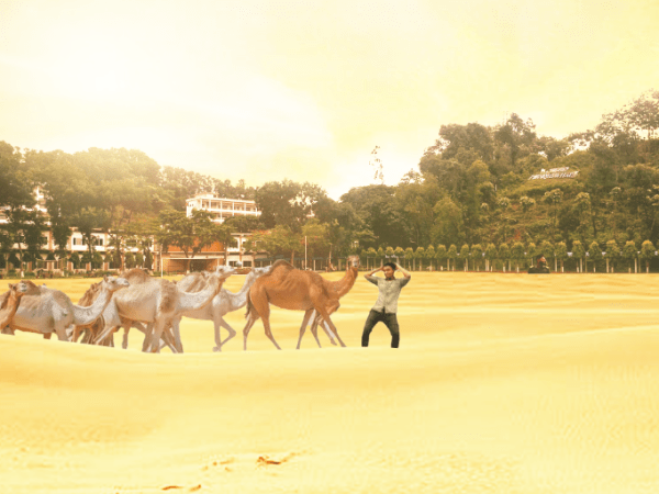 গ্রীষ্মের তীব্র দাবদাহে মরুভূমিতে পরিনত হলো সিসিপিসি, দেখা মিলছে উট এবং হাবিবিদের